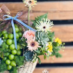 Giỏ Hoa Trái Cây cơ bản 036