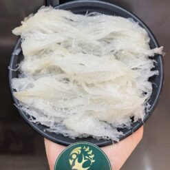 Yến Tươi Nguyên Chất 1KG - Yến Thiên Phúc Đà Nẵng