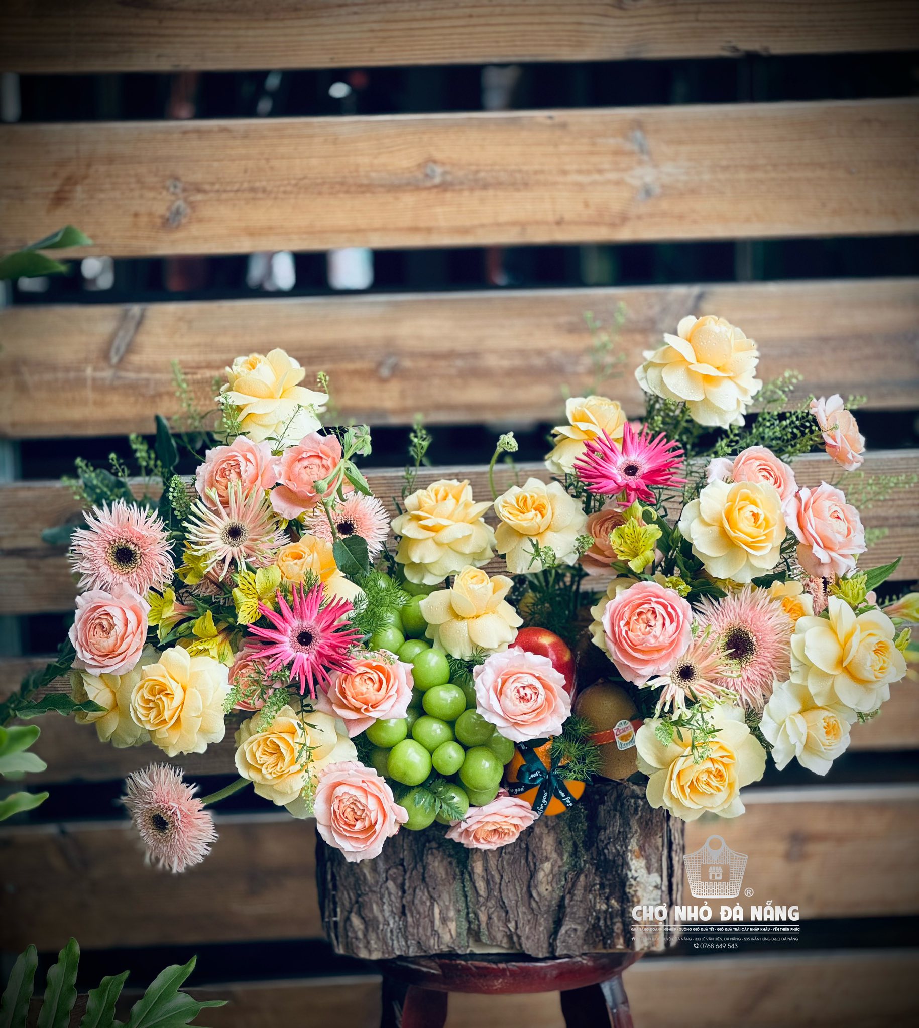 535032831_788362553742140_4715802971063973800_n