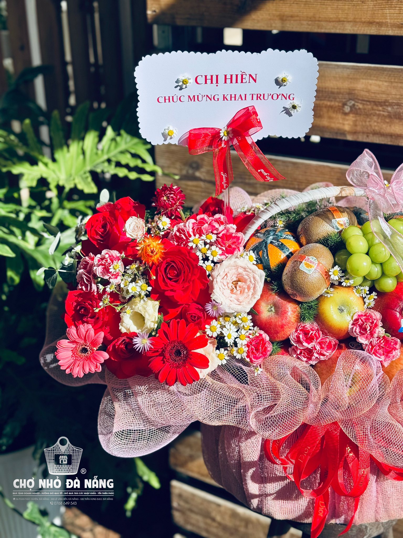 537034356_790453780199684_563985104440590986_n